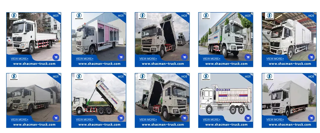 Complete Shacman 4×2 cargo truck specification overview